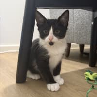 Photo of Tilly