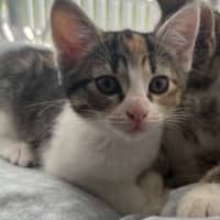 Photo of Kiki   Penelope