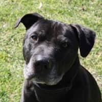 Photo of Ziggy And Zepha