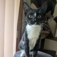 Photo of Momo