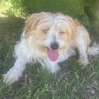 Photo of Sweetie Aka Suzi