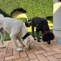 Photo of George And Bobby