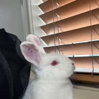 Photo of Milkshake And Tilly