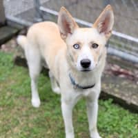 Photo of Sugar
