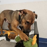 Photo of Zara