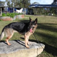 Photo of Bessy