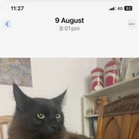 Photo of Puff