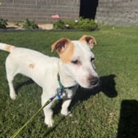 Photo of Woody