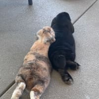 Photo of Duet / Barley