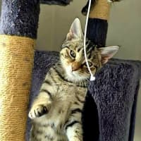 Photo of Xena