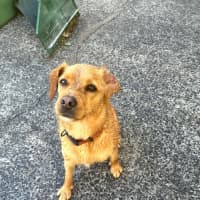 Photo of Happy 