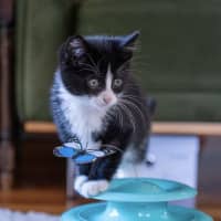 Photo of Timmy