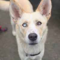 Photo of Sugar