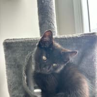 Photo of Bruce