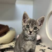 Photo of Monty