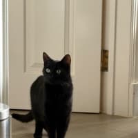 Photo of Cleo