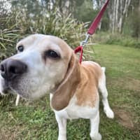 Photo of Post Malone