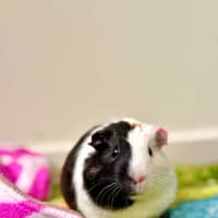 Photo of Carlos 