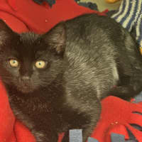 Photo of Taz 