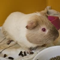Photo of Fred