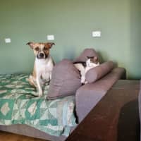 Photo of Rosemary Kumara