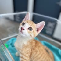 Photo of Marm
