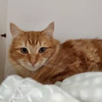 Photo of Sydney And Phoenix