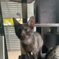 Photo of Ari