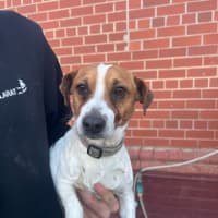 Photo of Bilbo Baggins