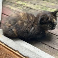 Photo of Cash
