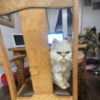 Photo of 🎩Darby🎩