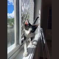 Photo of Chomper