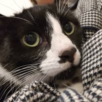 Photo of Mieka And Loki