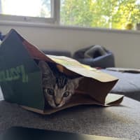 Photo of Liza   Located In Armadale