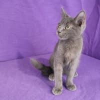 Photo of Valjean
