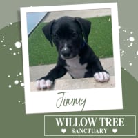 Photo of Jimmy