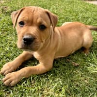 Photo of Murphy