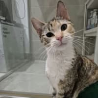 Photo of Matilda