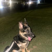 Photo of Tank