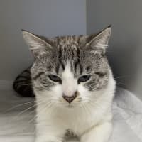 Photo of Jasper