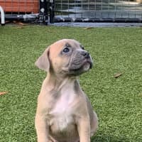 Photo of D1111 Ri Ri