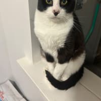 Photo of Raymond ❤️