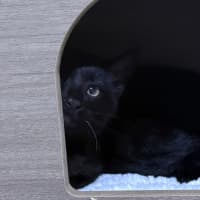 Photo of Banksy 🎨