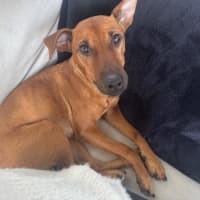 Photo of Missy Peggotty