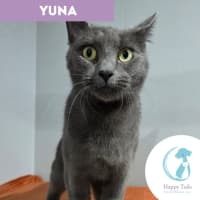 Photo of Yuna
