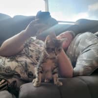 Photo of Hiccup Meet Me @Petstock Carrum Downs Store 