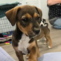 Photo of Princess Bubblegum