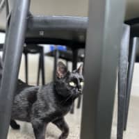 Photo of Kiwi