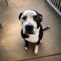 Photo of Zeus
