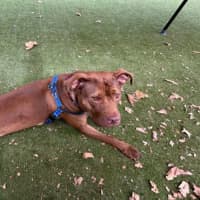 Photo of Maggie